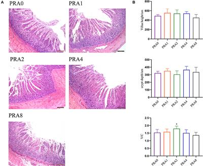 Effect of Dietary Paeoniae Radix Alba Extract on the Growth Performance, Nutrient Digestibility and Metabolism, Serum Biochemistry, and Small Intestine Histomorphology of Raccoon Dog During the Growing Period